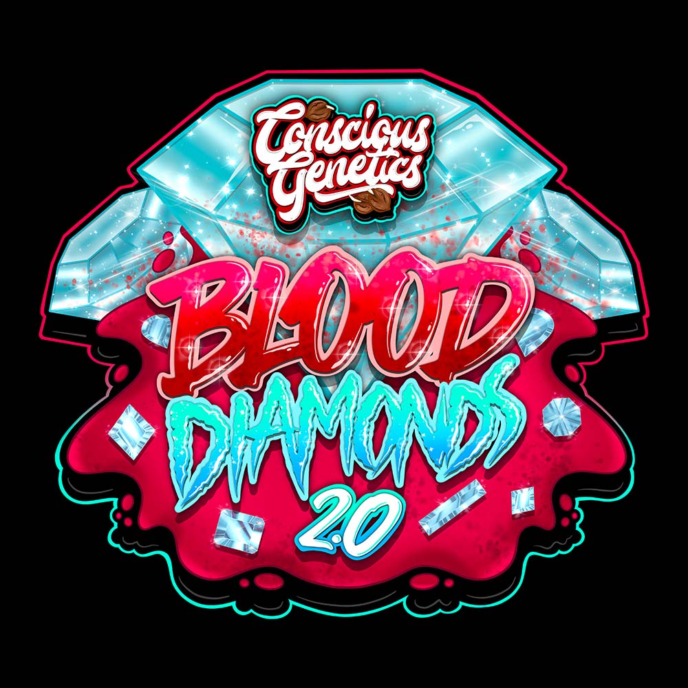 Blood Diamonds Feminized Cannabis Seeds Conscious Genetics