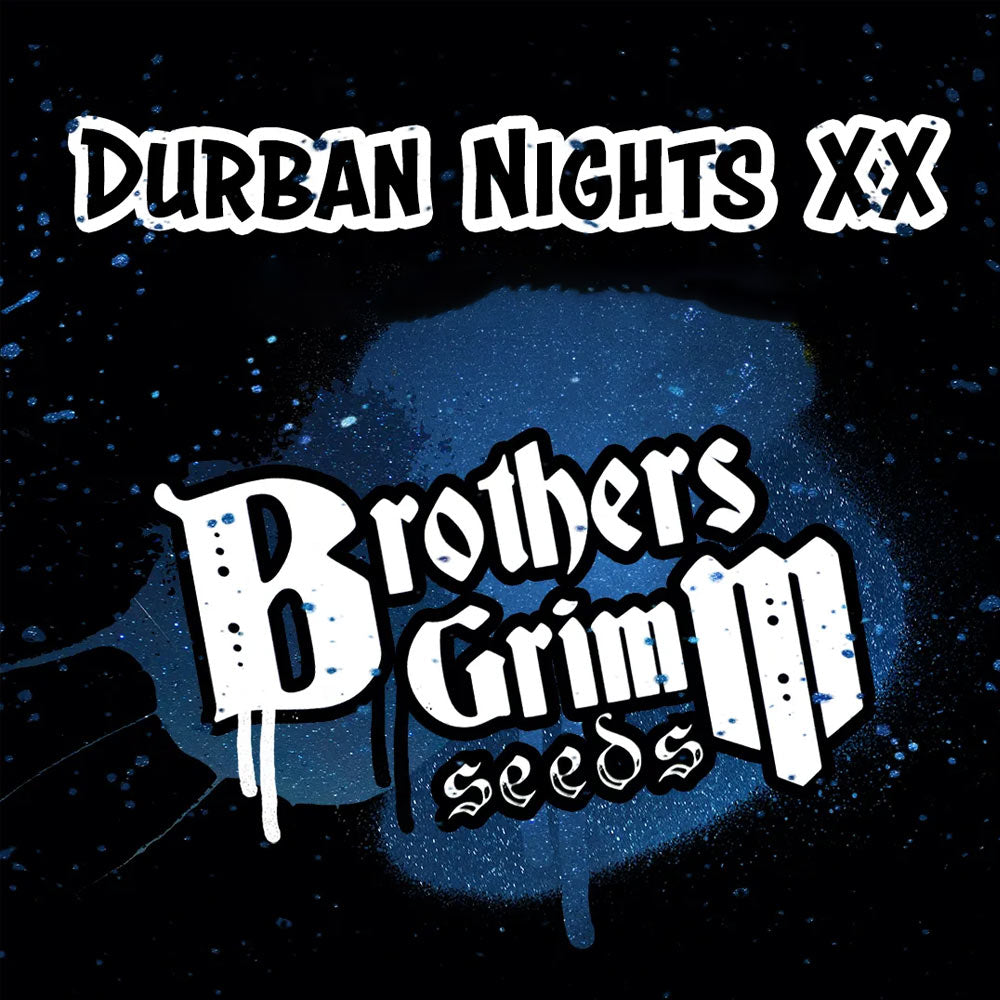 Durban Nights Xx Female Weed Seeds By Brothers Grimm Seeds