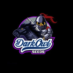 Gammathon Auto Cannabis Seeds By Dark Owl Seeds