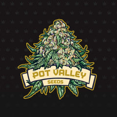 Moonlight Dreamz Regular Cannabis Seeds By Pot Valley Seeds